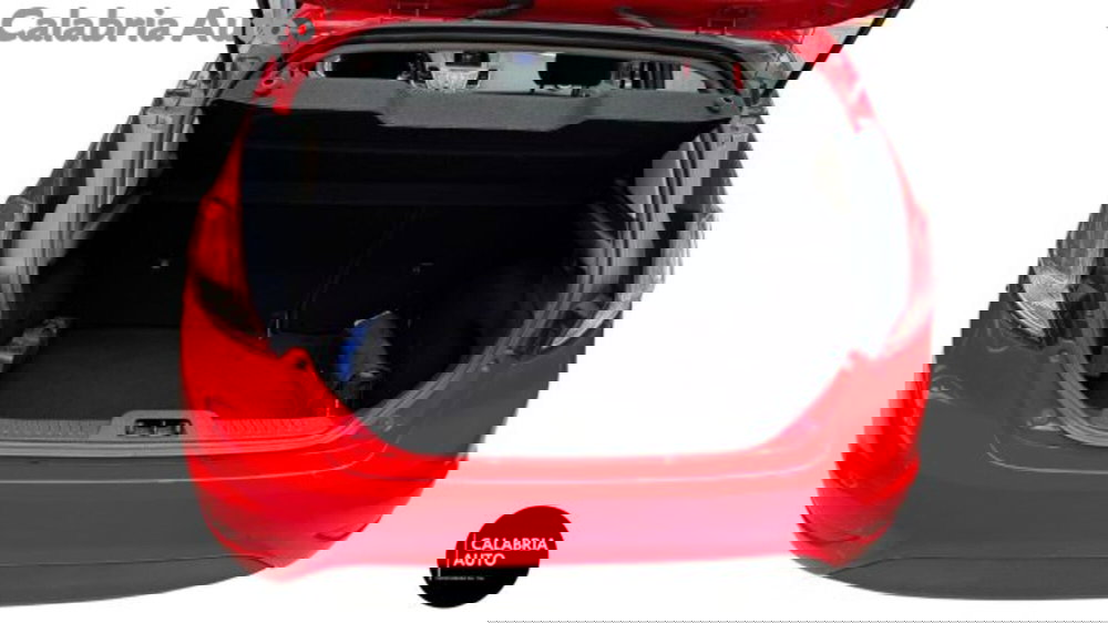 Ford Fiesta usata a Reggio Calabria (5)