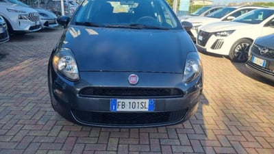 Fiat Punto 1.4 8V 5 porte Easypower Young del 2015 usata a Savona