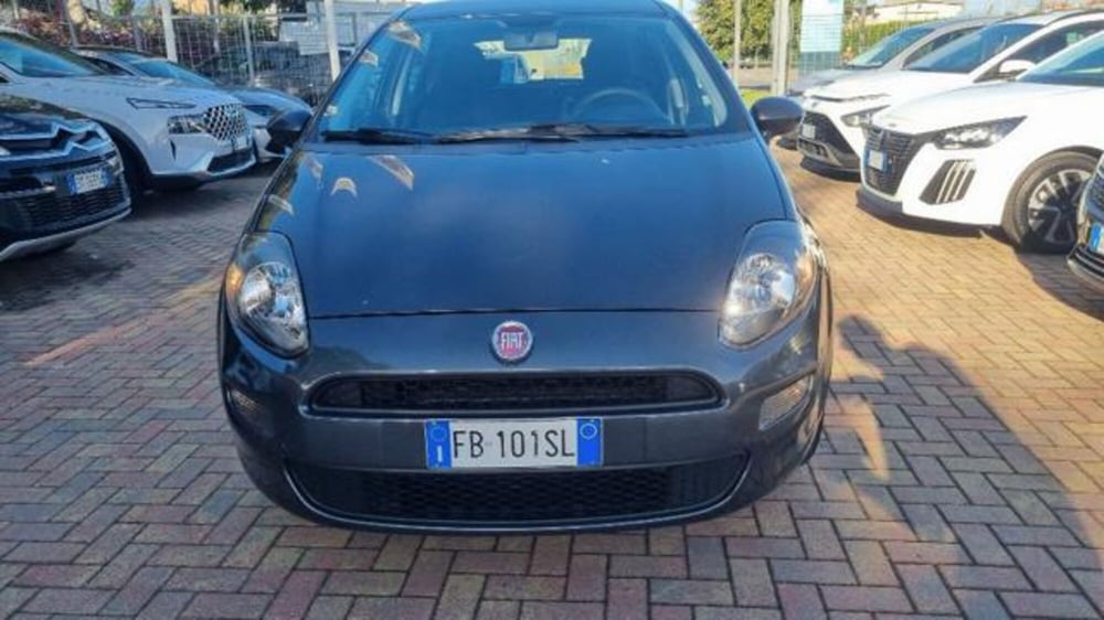 Fiat Punto usata a Savona (10)