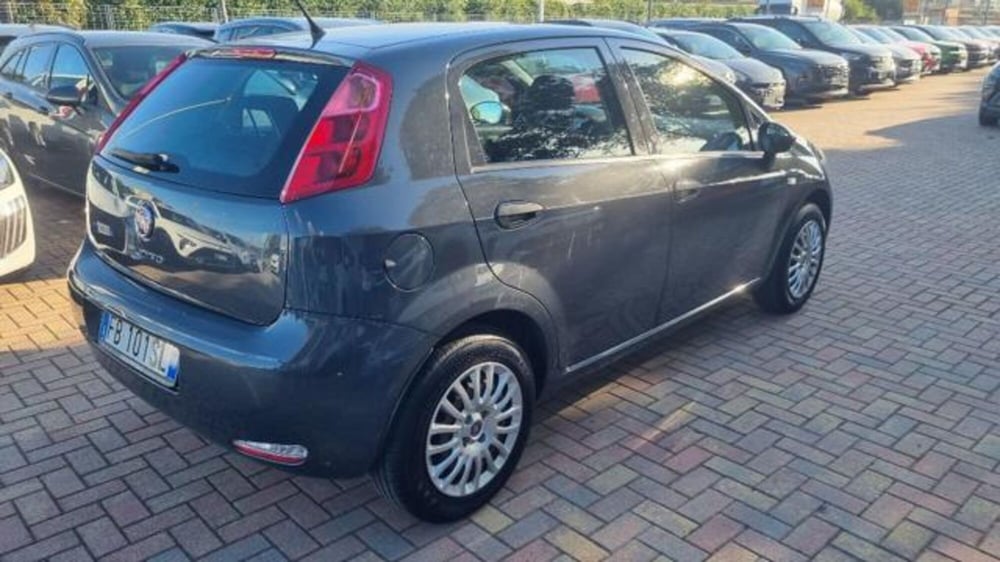 Fiat Punto usata a Savona (14)