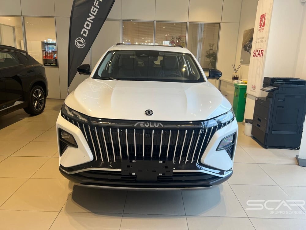 Dongfeng Huge nuova a Livorno (2)