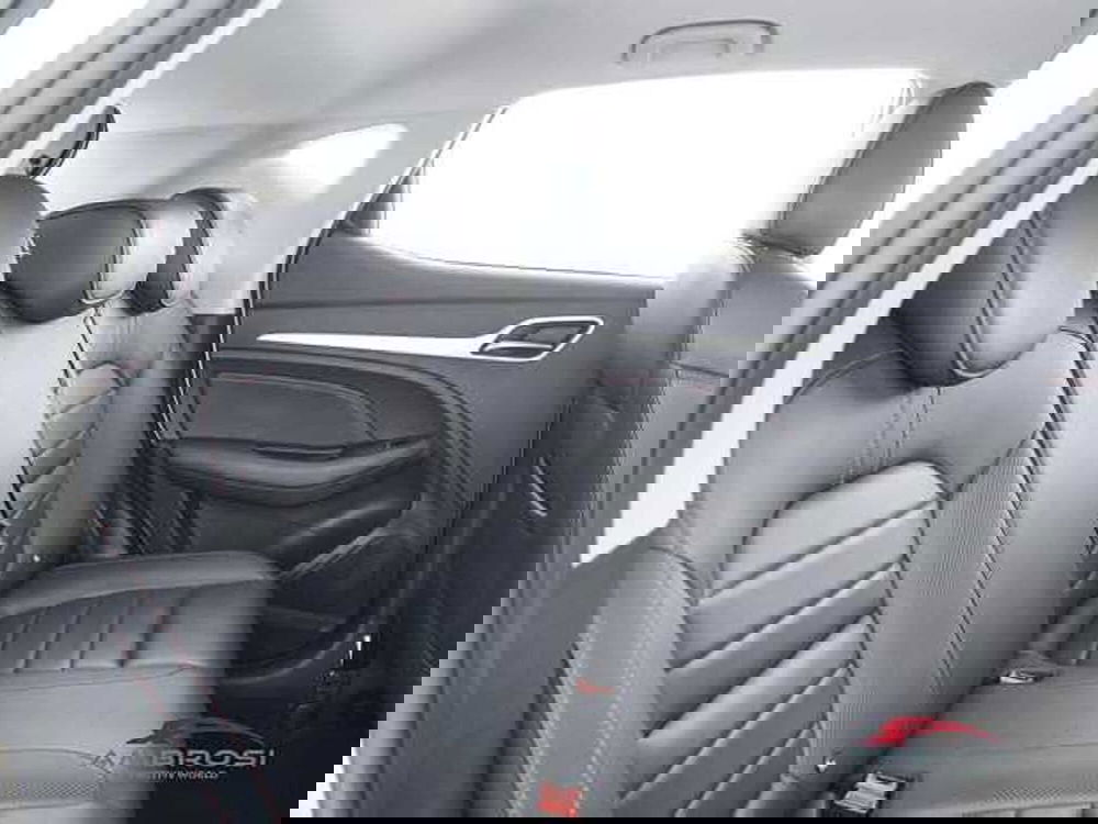 Mg ZS usata a Viterbo (11)