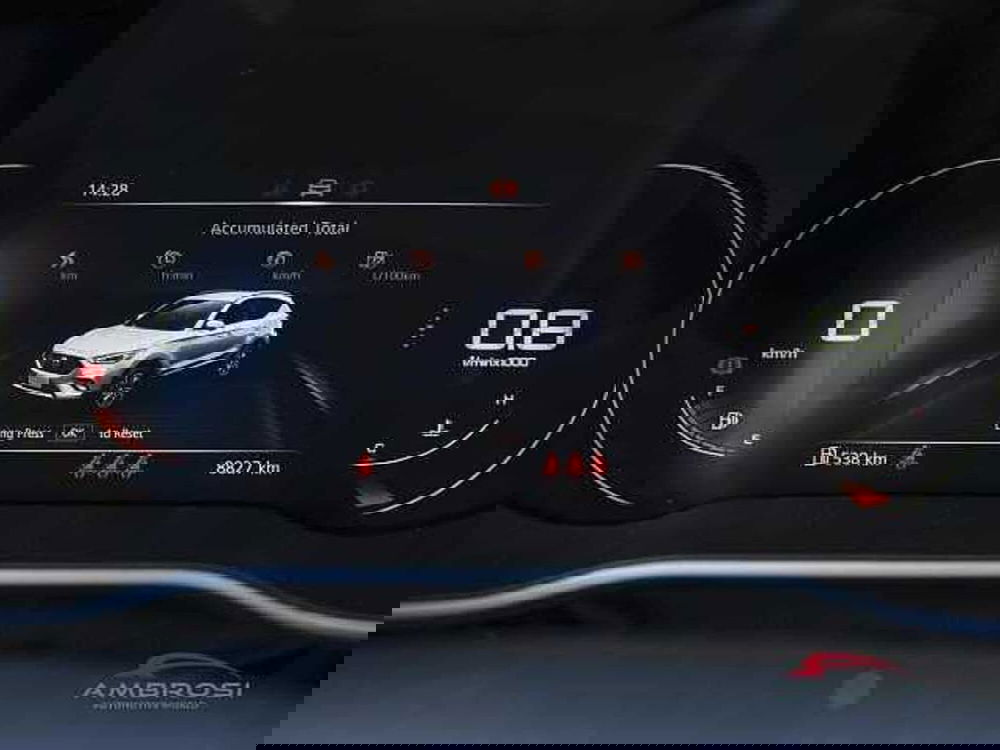 Mg ZS usata a Viterbo (13)