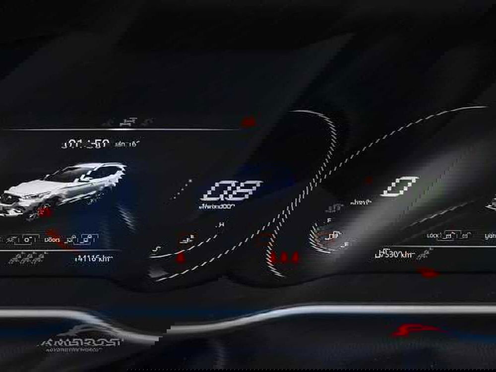 Mg ZS usata a Viterbo (13)