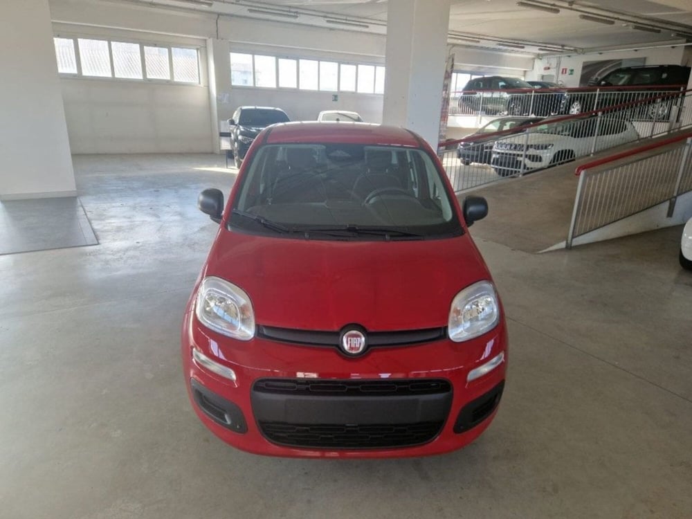 Fiat Panda Cross nuova a Terni