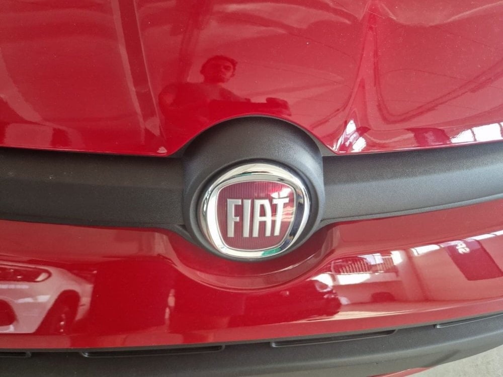 Fiat Panda Cross nuova a Terni (19)