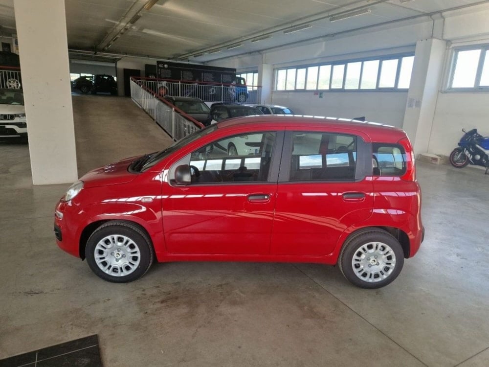 Fiat Panda Cross nuova a Terni (4)