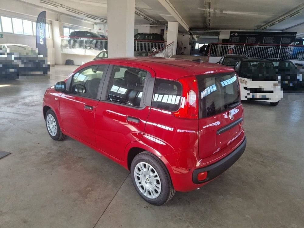 Fiat Panda Cross nuova a Terni (5)