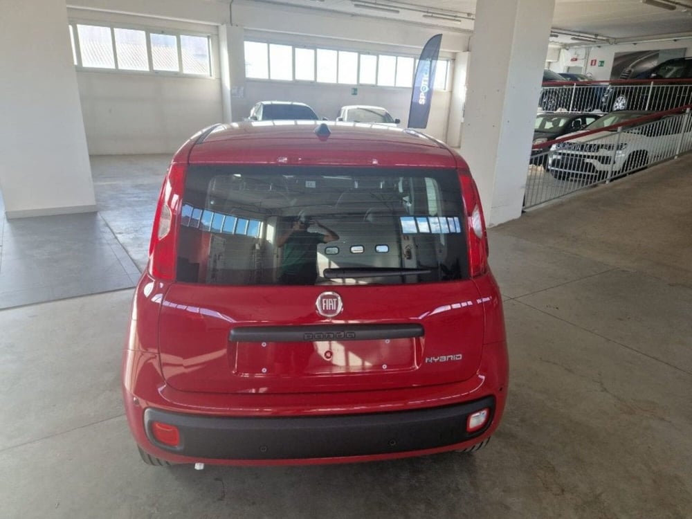 Fiat Panda Cross nuova a Terni (6)