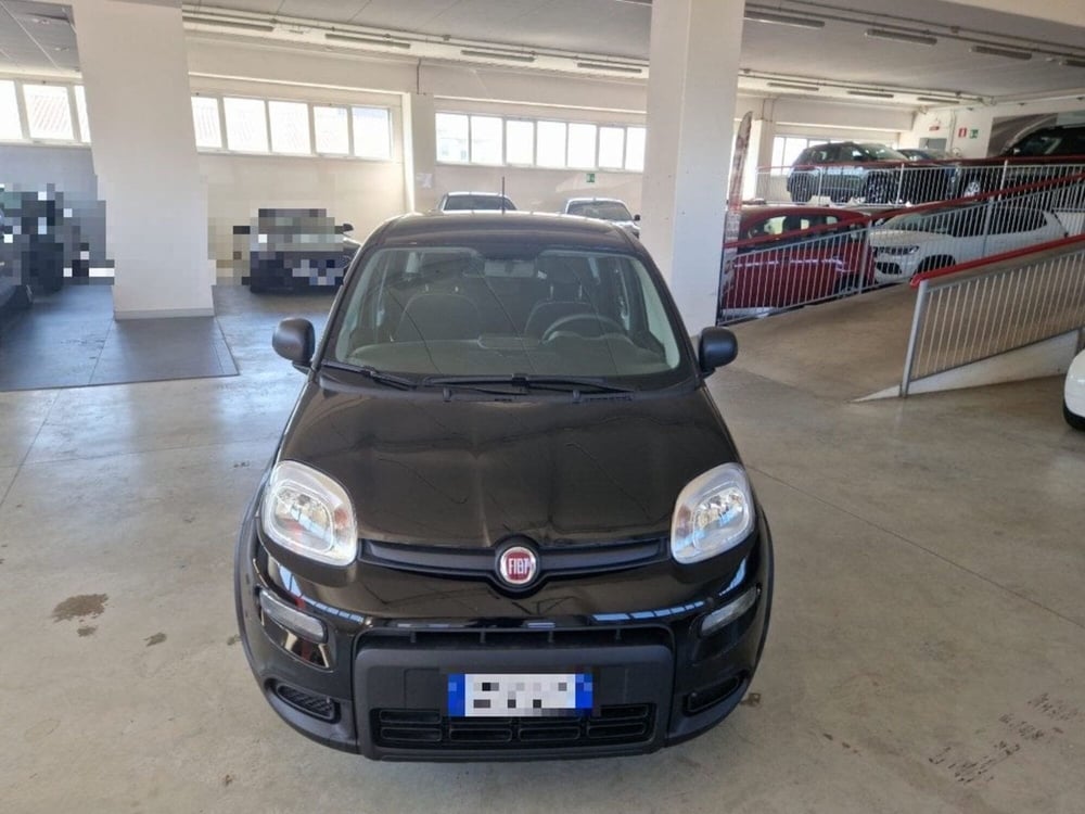 Fiat Panda Cross usata a Terni