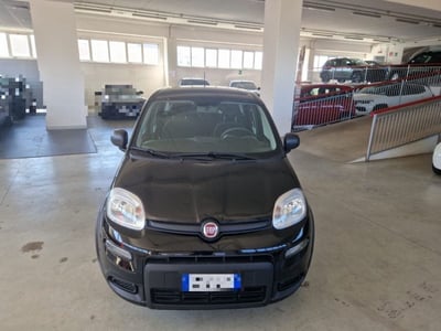 Fiat Panda Cross Cross 1.0 FireFly S&amp;S Hybrid del 2024 usata a Orvieto
