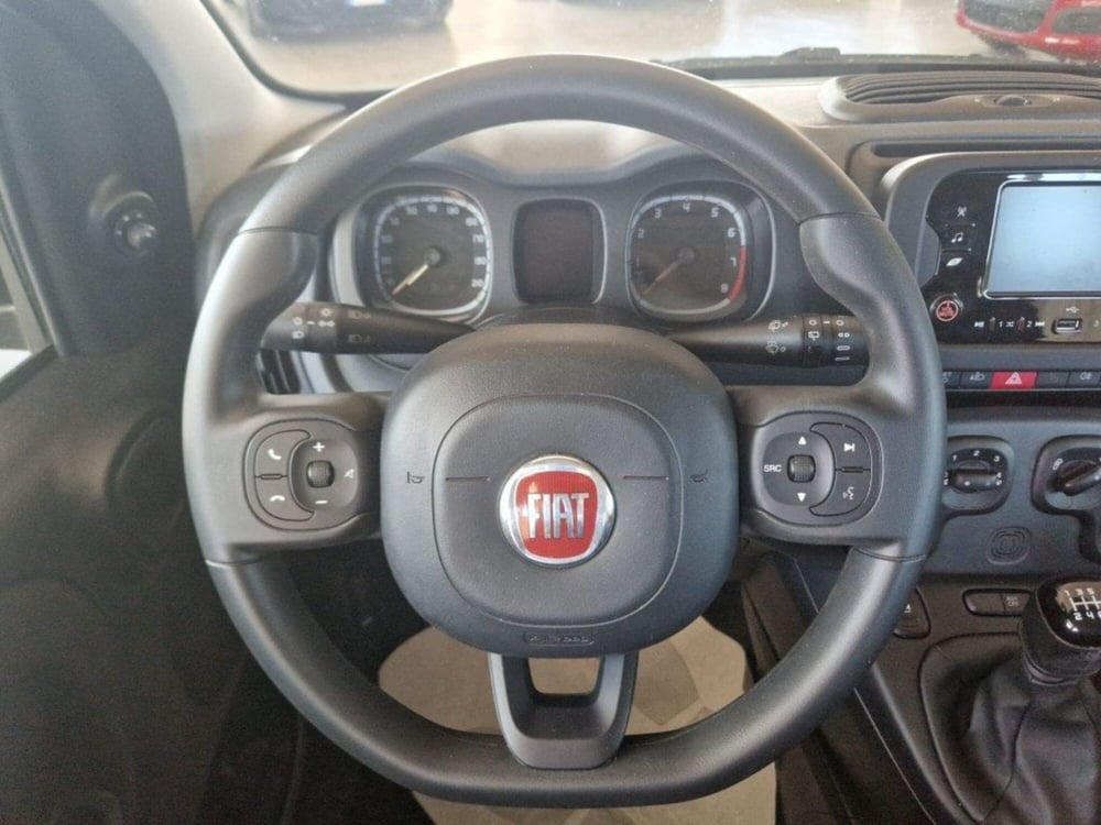 Fiat Panda Cross usata a Terni (13)