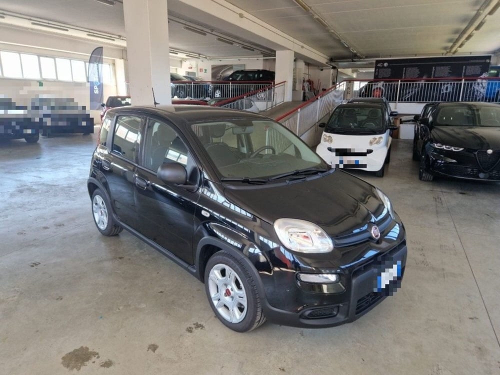 Fiat Panda Cross usata a Terni (2)