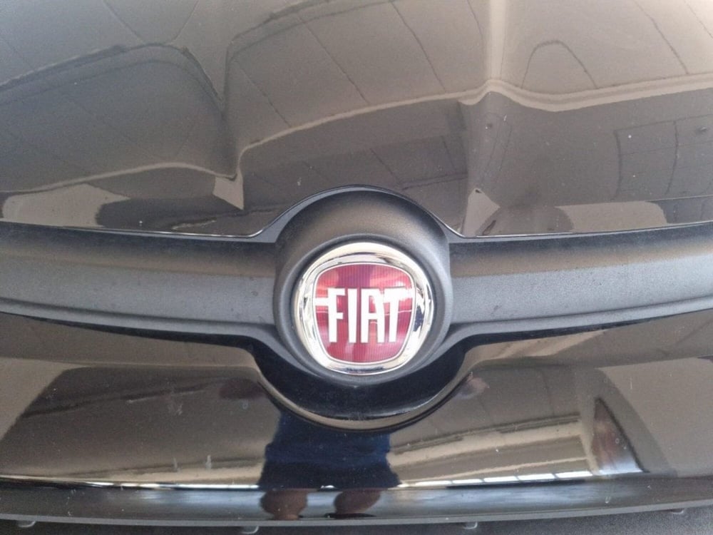 Fiat Panda Cross usata a Terni (20)