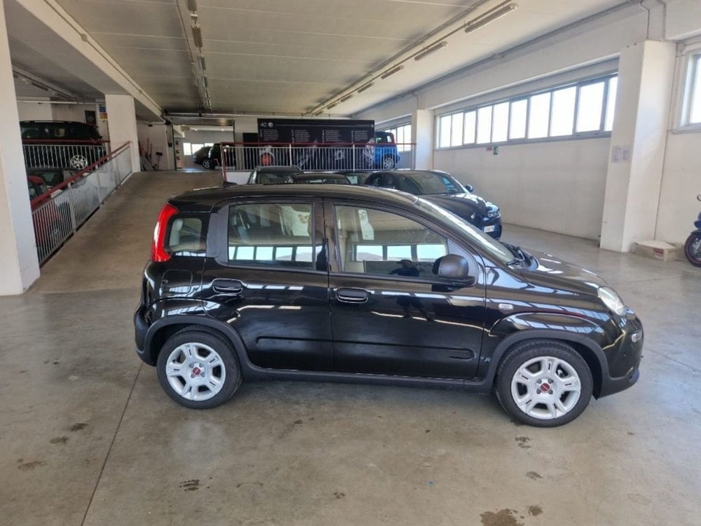 Fiat Panda Cross usata a Terni (3)
