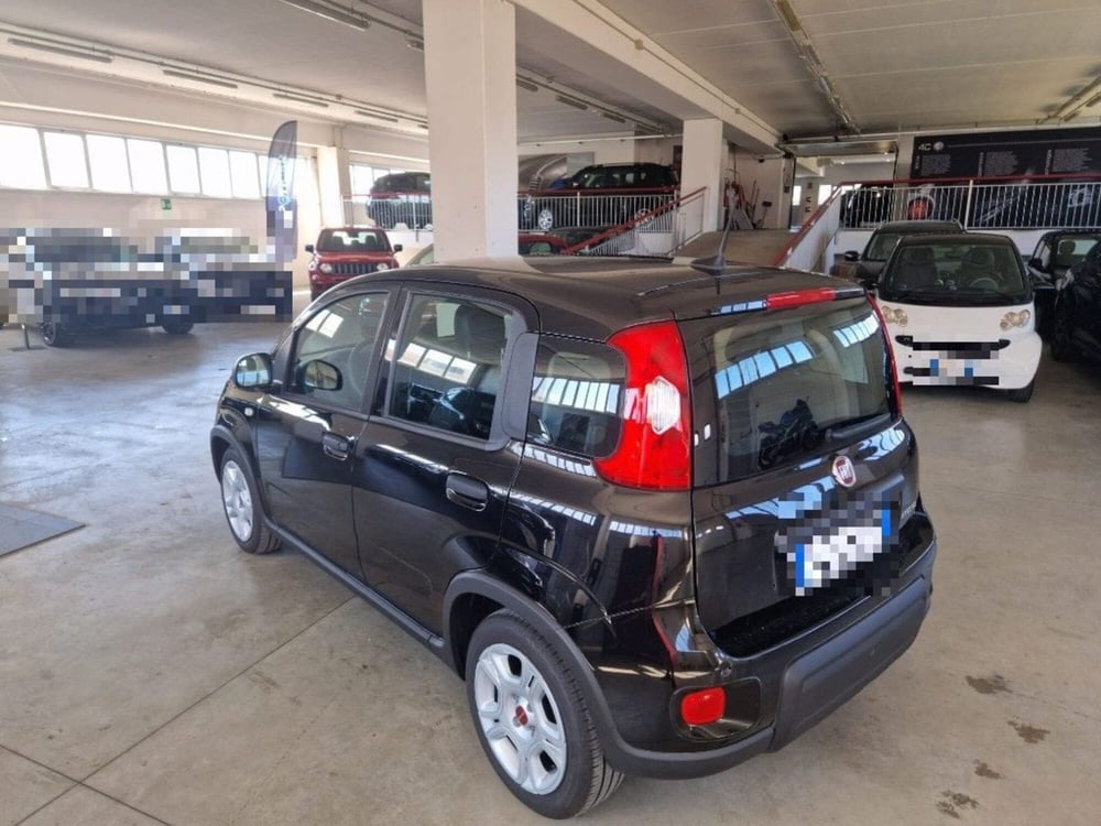 Fiat Panda Cross usata a Terni (6)