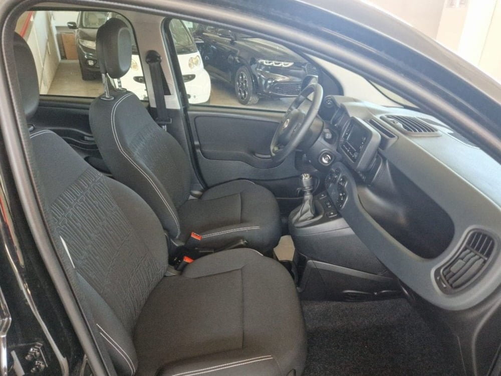 Fiat Panda Cross usata a Terni (9)