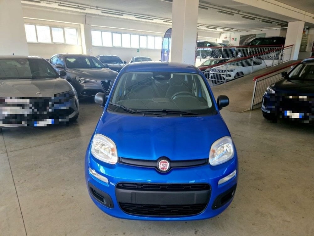 Fiat Panda Cross nuova a Terni