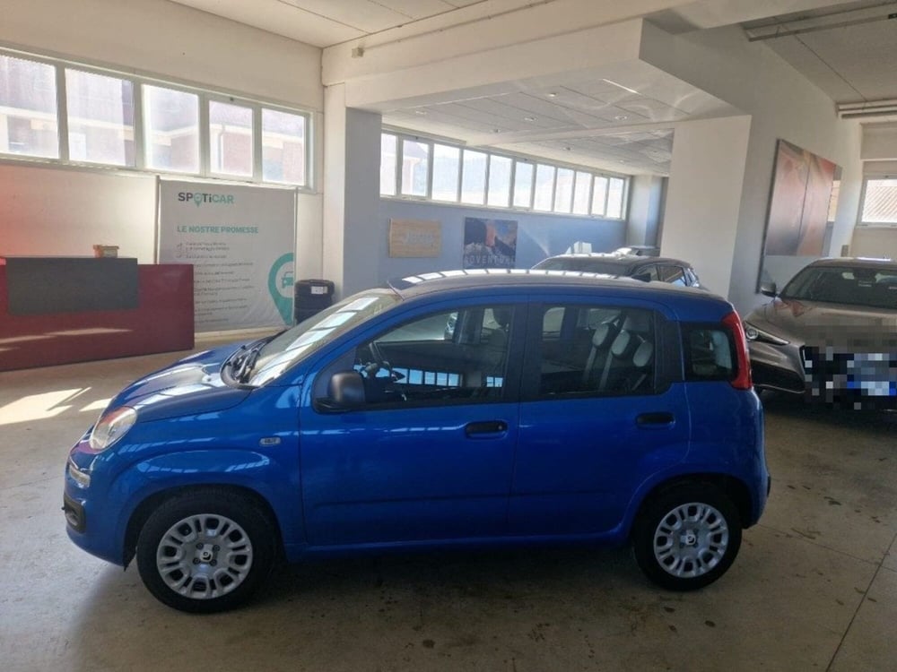 Fiat Panda Cross nuova a Terni (4)