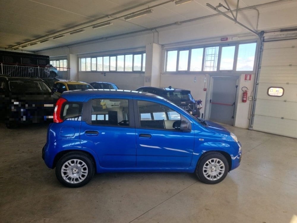 Fiat Panda Cross nuova a Terni (6)