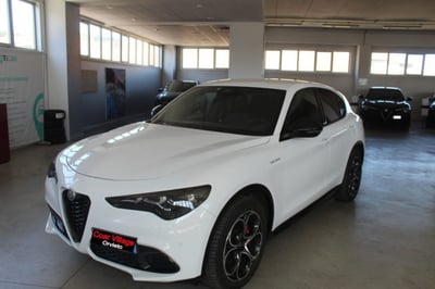 Alfa Romeo Stelvio Stelvio 2.2 Turbodiesel 210 CV AT8 Q4 Veloce del 2024 usata a Orvieto