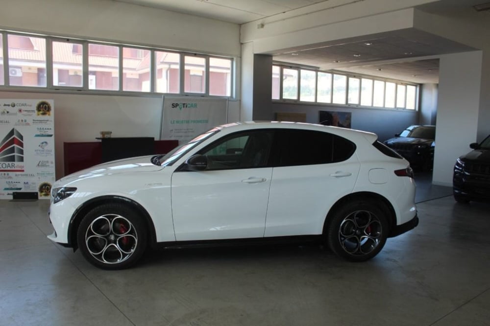 Alfa Romeo Stelvio usata a Terni (3)