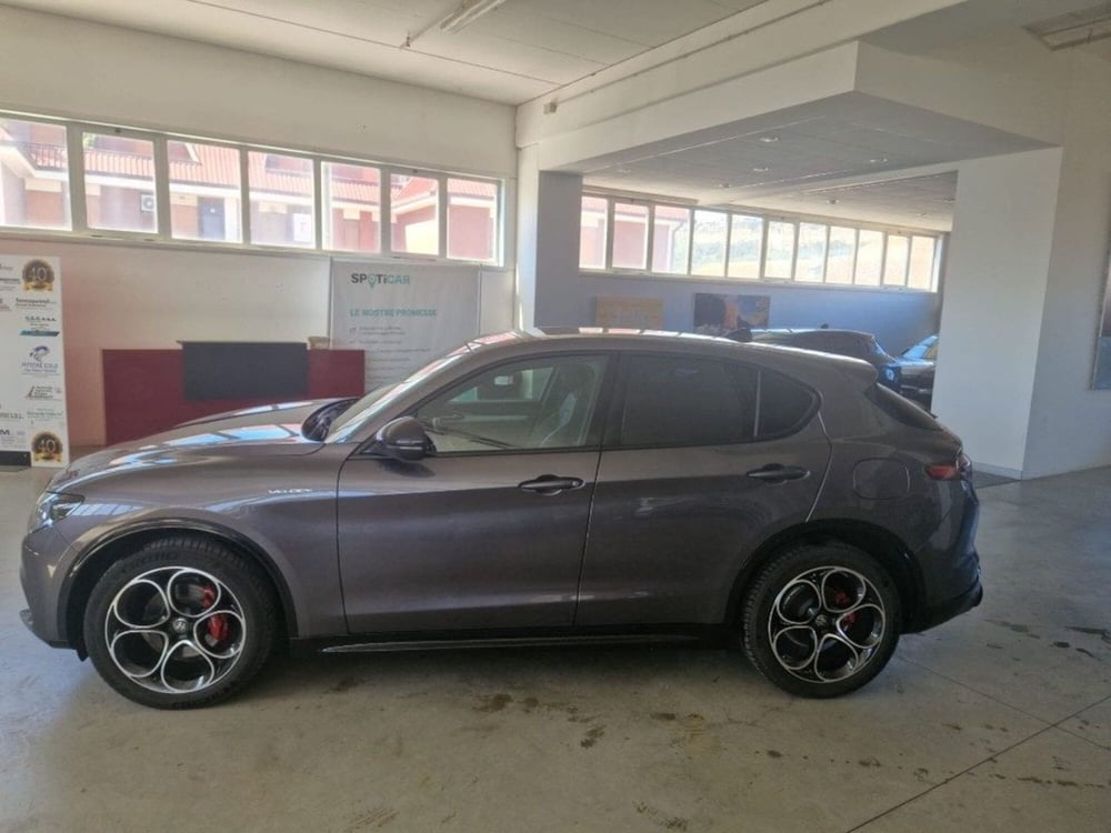 Alfa Romeo Stelvio usata a Terni (5)