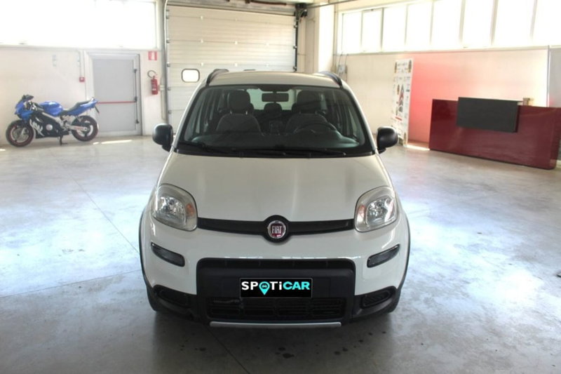 Fiat Panda usata a Terni (2)