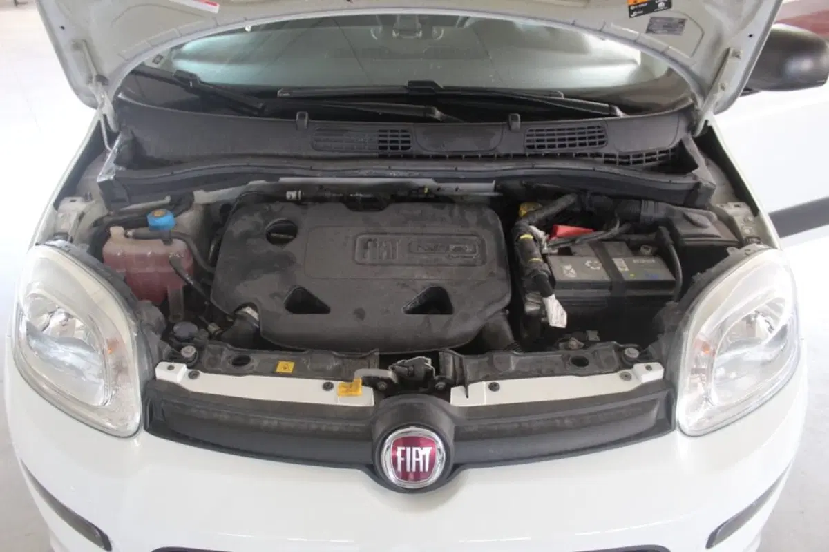 Fiat Panda usata a Terni (20)