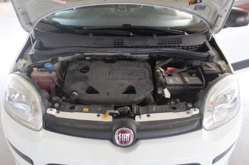 Fiat Panda usata a Terni (20)