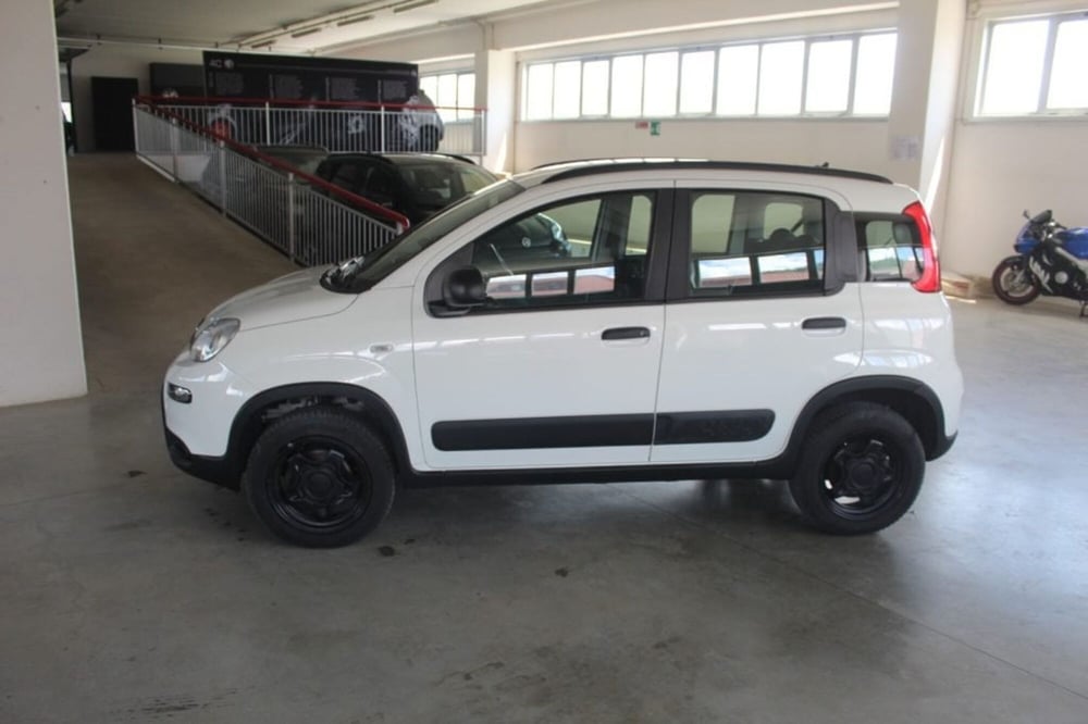 Fiat Panda usata a Terni (3)