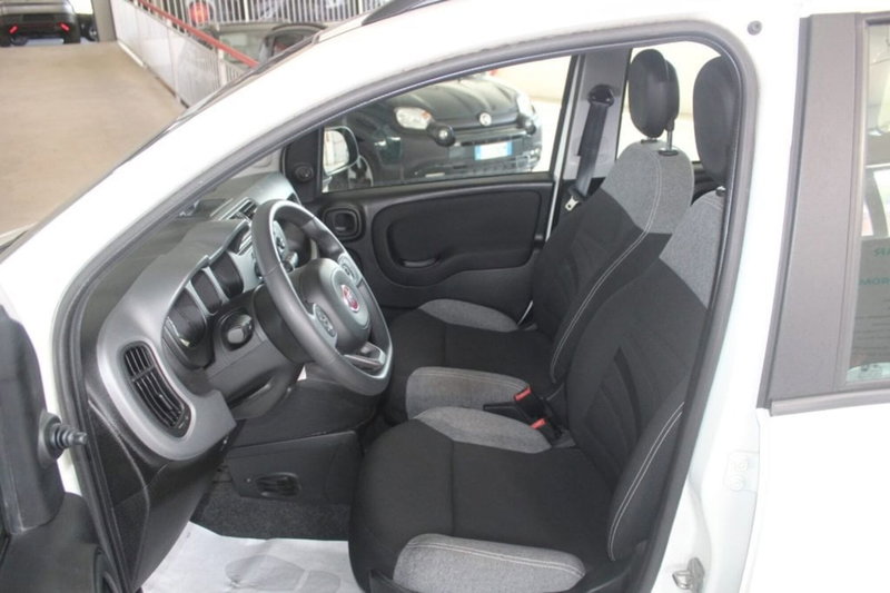 Fiat Panda usata a Terni (7)