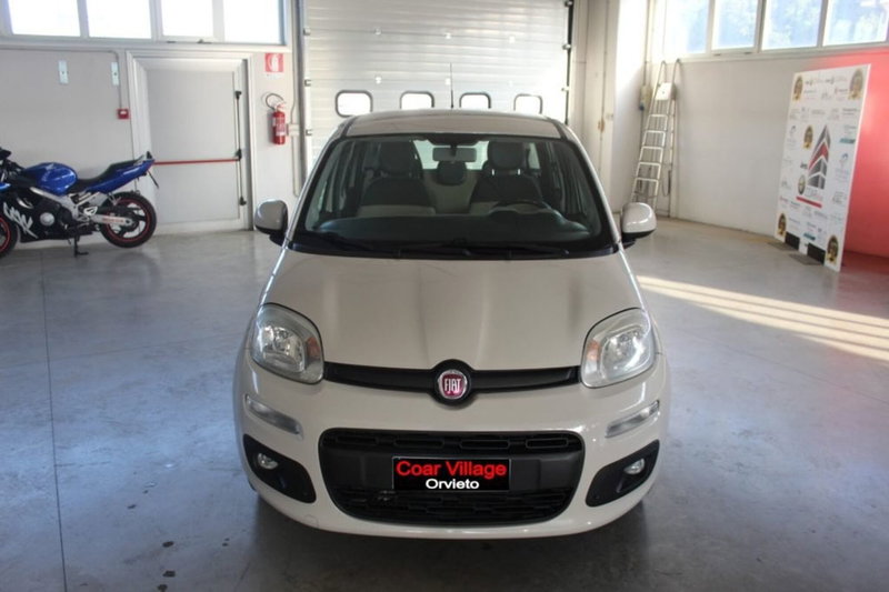 Fiat Panda usata a Terni (2)