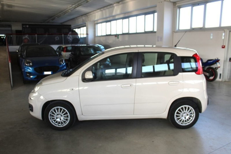 Fiat Panda usata a Terni (3)