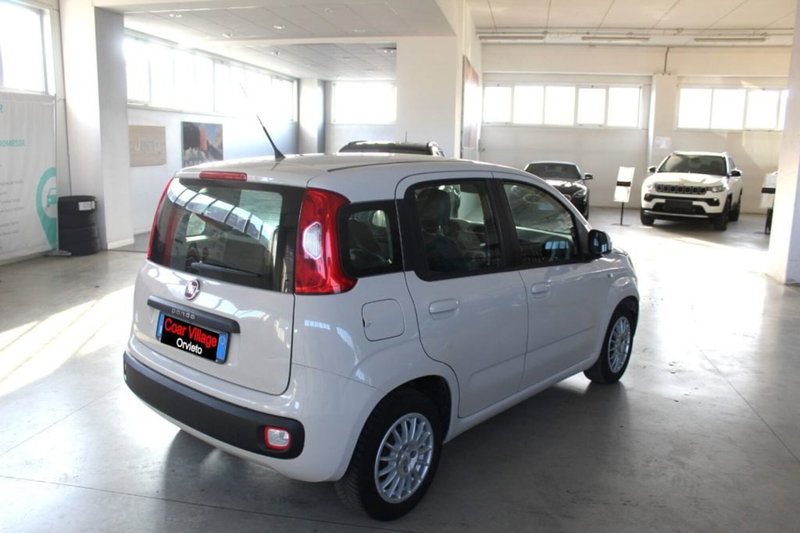 Fiat Panda usata a Terni (4)