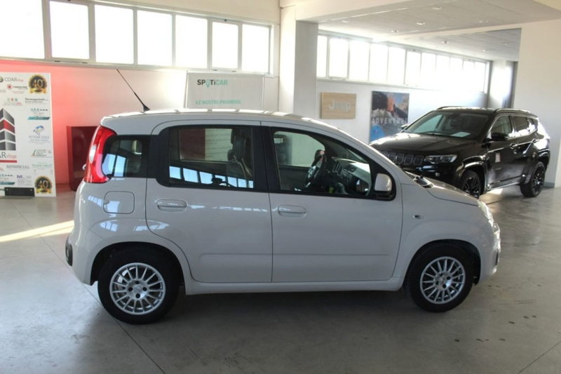 Fiat Panda usata a Terni (6)