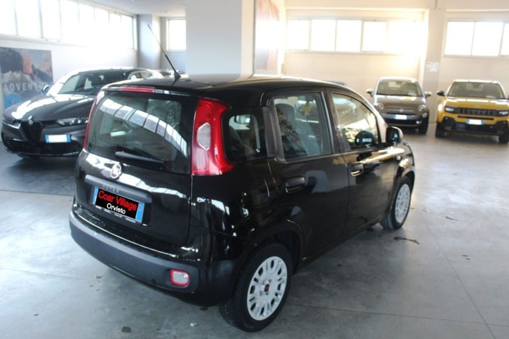 Fiat Panda usata a Terni (4)