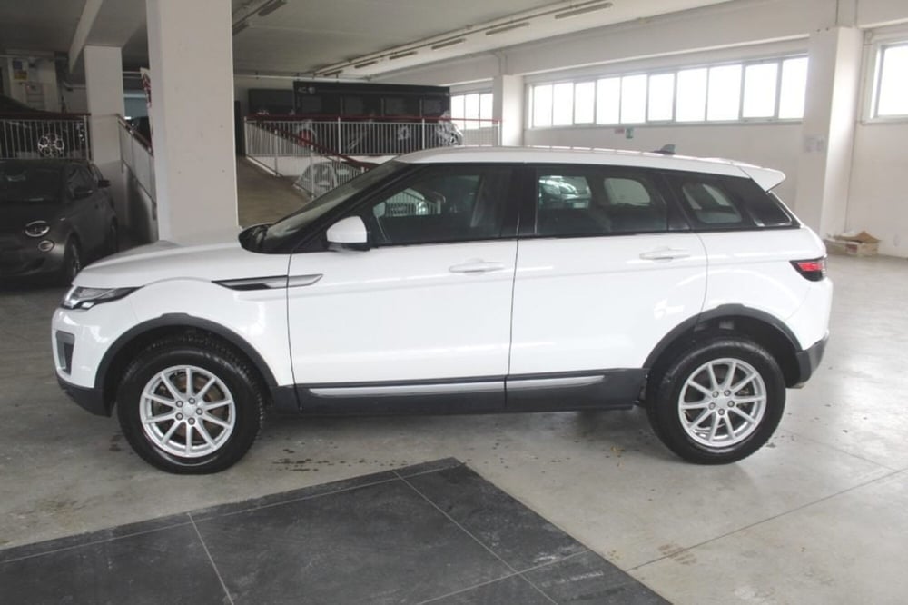 Land Rover Range Rover Evoque usata a Terni (3)