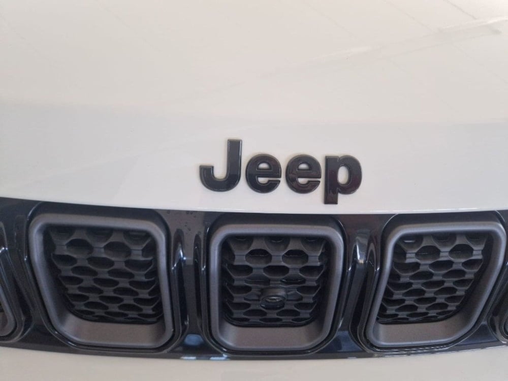 Jeep Compass usata a Terni (20)