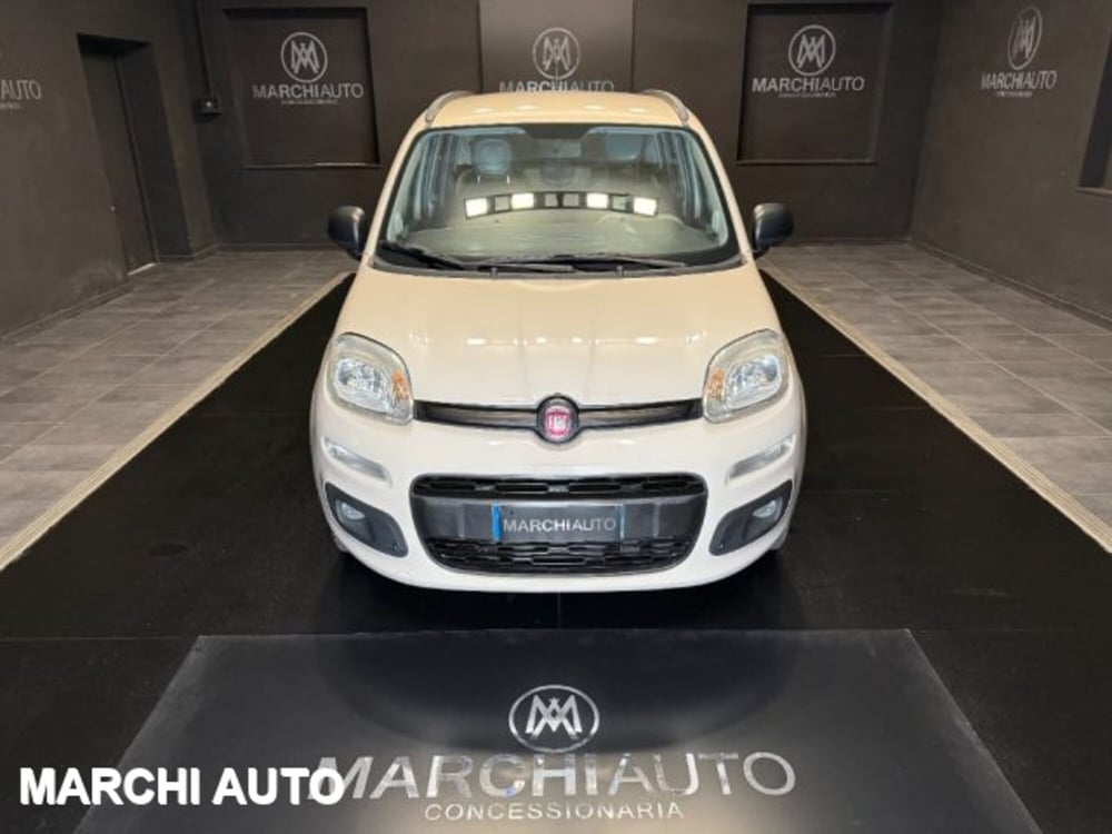 Fiat Panda usata a Perugia (2)