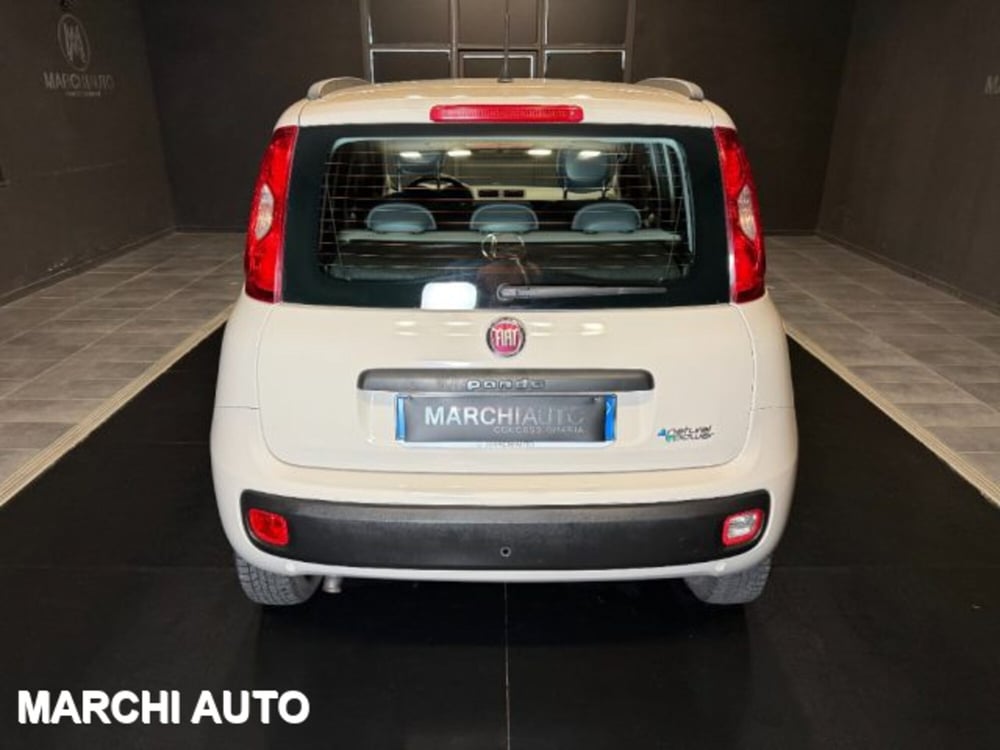 Fiat Panda usata a Perugia (6)