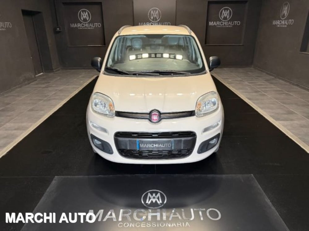 Fiat Panda usata a Perugia (2)