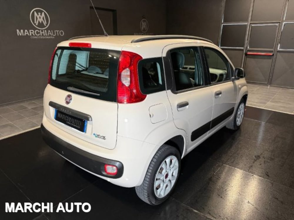 Fiat Panda usata a Perugia (5)