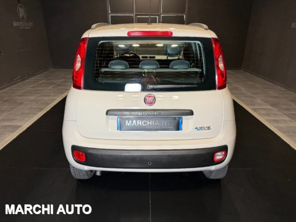 Fiat Panda usata a Perugia (6)