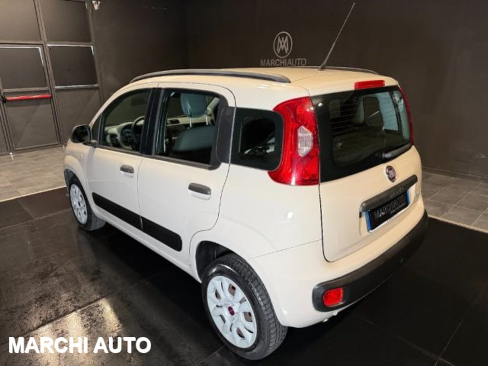 Fiat Panda usata a Perugia (7)