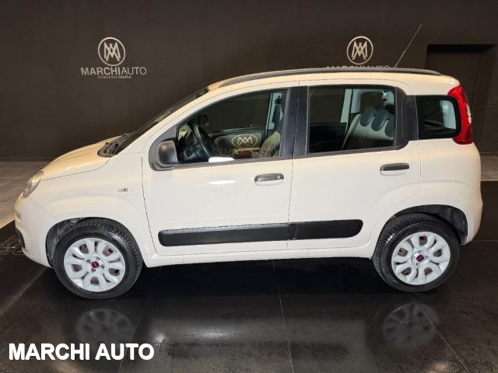 Fiat Panda usata a Perugia (8)