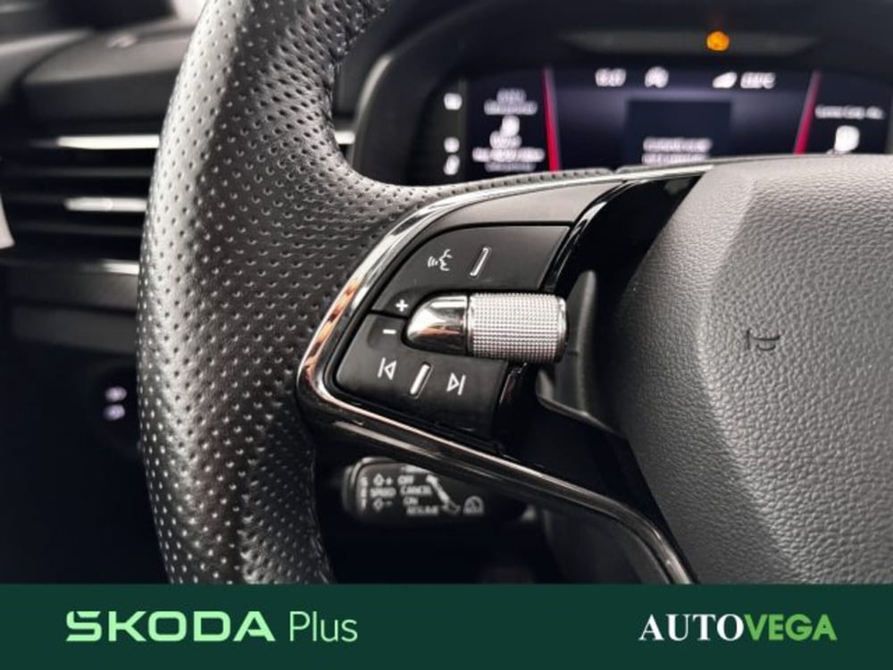 Skoda Kamiq usata a Vicenza (19)