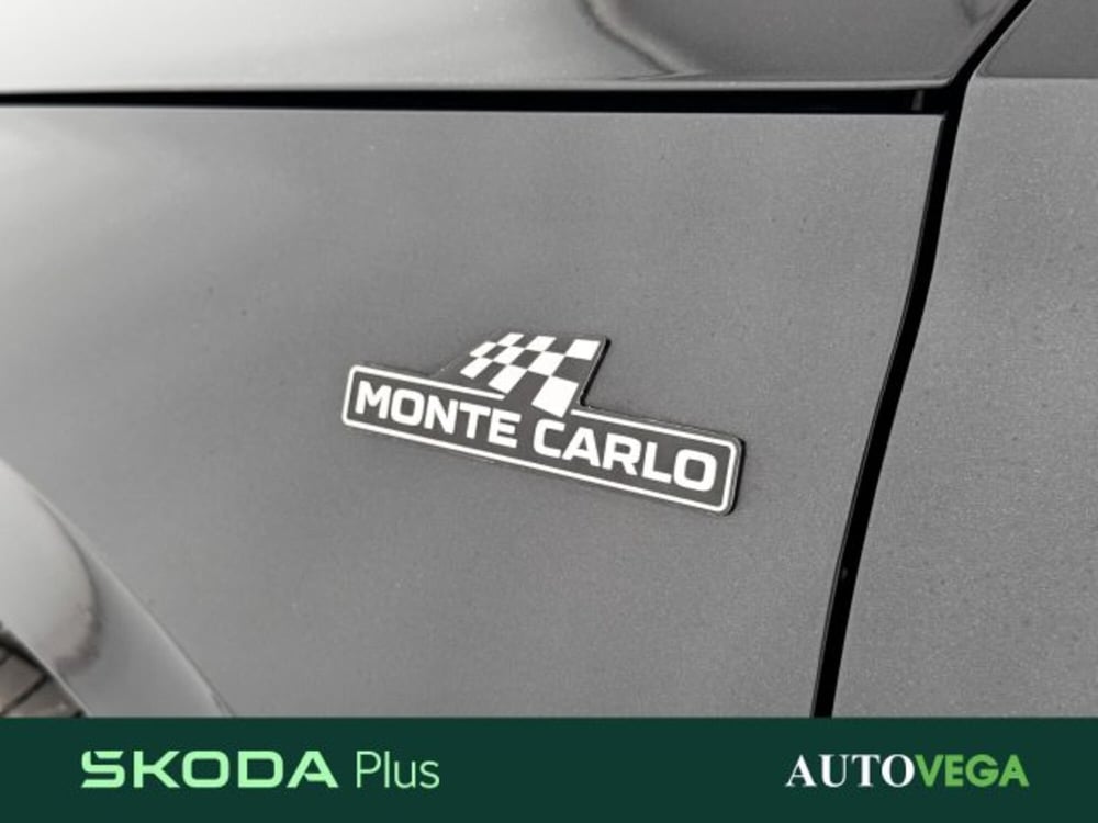 Skoda Kamiq usata a Vicenza (7)