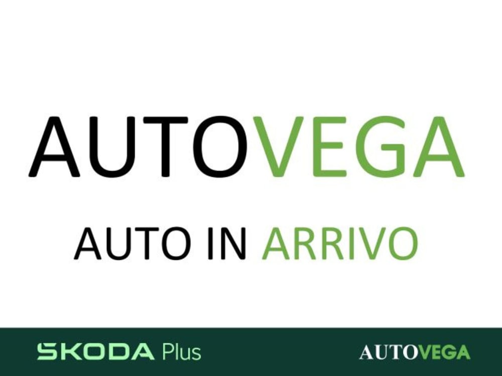 Skoda Kamiq usata a Vicenza