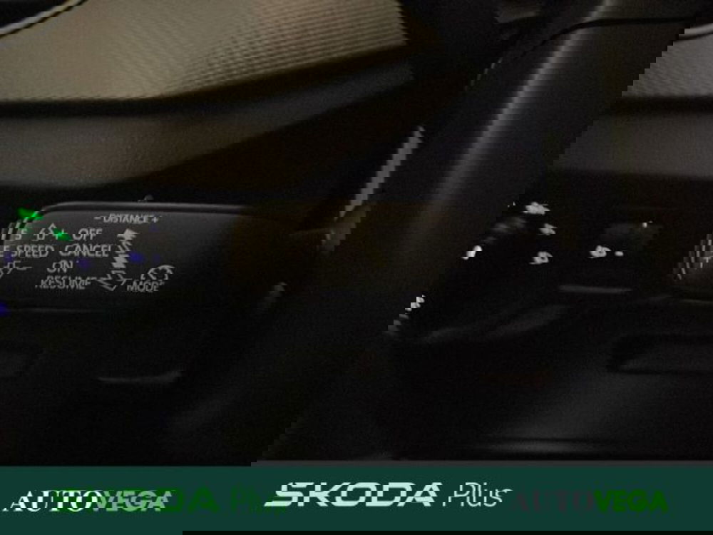 Skoda Kamiq usata a Vicenza (14)